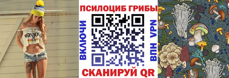 Галлюциногенные грибы Psilocybe  купить наркотик  ссылка на мегу tor  Облучье 